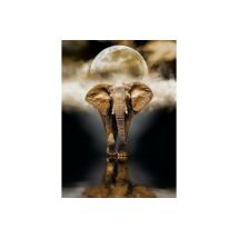 Elefánt (1000 db)